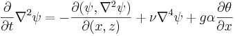 \frac{\partial}{\partial t}\nabla ^2 \psi = - \frac{\partial(\psi,\nabla ^2 \psi)}{\partial(x,z)}+\nu\nabla^4\psi + g\alpha\frac{\partial\theta}{\partial x}