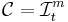 \mathcal{C} = \mathcal{I}^m_t\,