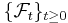  \{ \mathcal{F}_{t} \}_{t \geq 0} 