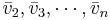 \bar{v}_2, \bar{v}_3, \cdots, \bar{v}_n