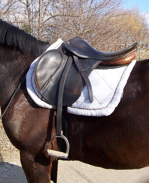Fil:English saddle.jpg
