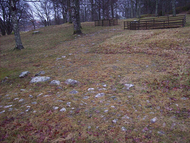 Fil:Ruinerna av Brätte, Vänersborgs föregångare som stad, den 10 januari 2008, bild 2.jpg