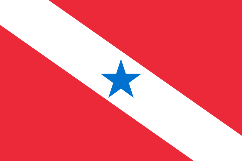 Fil:Bandeira do Pará.svg