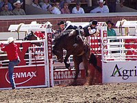 StampedeRodeo2002.JPG