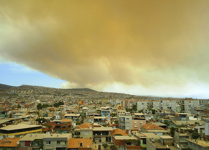 Fil:İzmir yangın 3.JPG