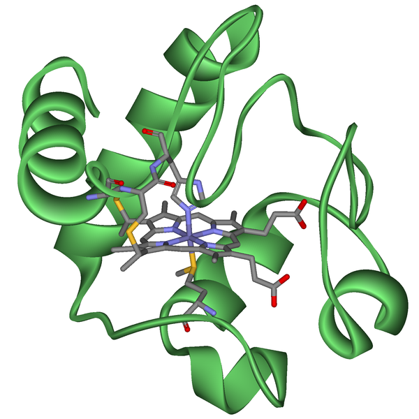 Fil:Cytochrome c.png