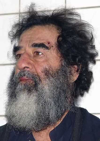 Fil:Saddamcapture.jpg