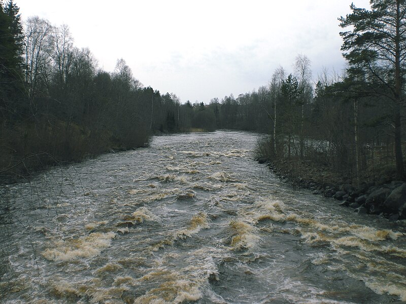 Fil:Sävarån-vårflod-2008-05-02.jpg