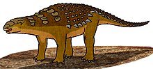 Illustration av Panoplosaurus.