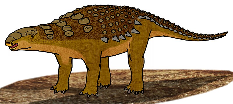 Fil:Panoplosaurus 055.JPG