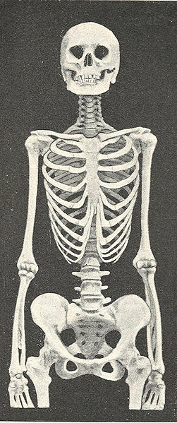 Fil:Skeleton of boiled woman.jpg