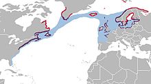 Havstrutens utbredningsområdeRött - häckningsområdeLila - året runtLjusblått - vinter