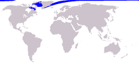 Fil:Cetacea range map Narwhal.png