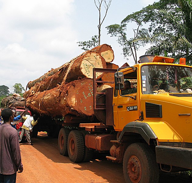 Fil:Logging truck and bush taxi accident.jpg