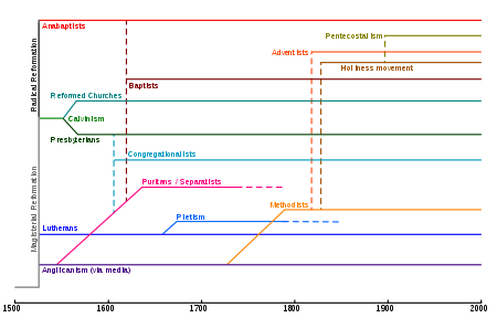 Diagram som visar huvudsakliga grenar och rörelser som reformationen gav upphov till