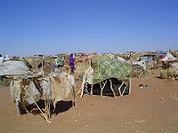 Darfur IDPs 1 camp.jpg