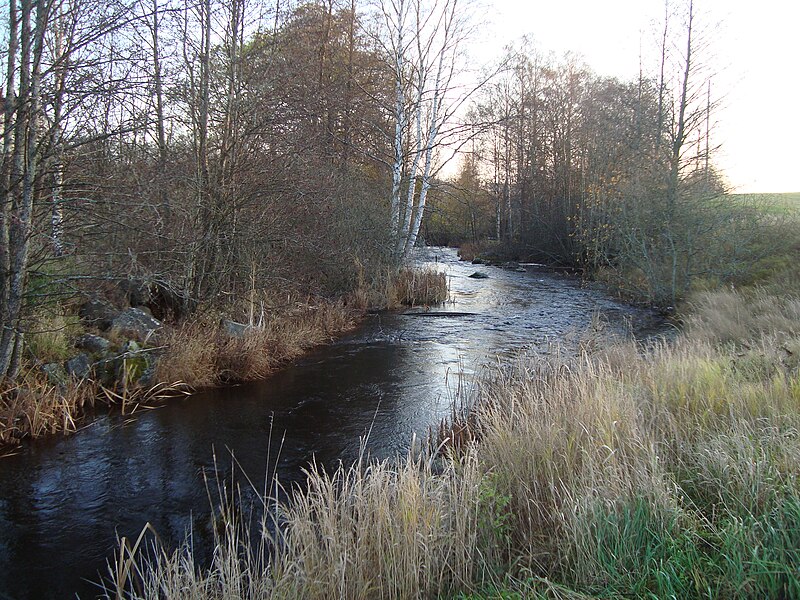 Fil:Lustån vid Djörkhyttan.jpg