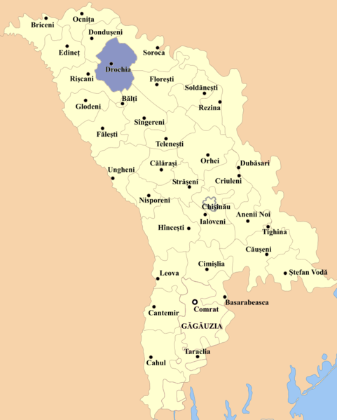 Fil:Drochia county.png