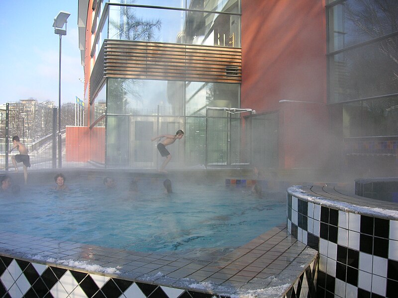 Fil:Eriksdalsbadet 2006a.JPG