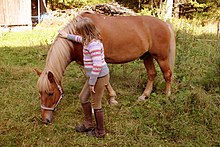 Finnish horse and finnish girl - small.jpg
