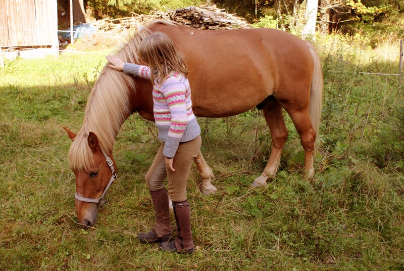 Fil:Finnish horse and finnish girl - small.jpg