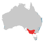 Långnäbbad kakaduas utbredning (rött)