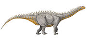En illustratörs tolkning av hur en Barapasaurus kan ha sett ut.