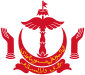 Bruneis statsvapen