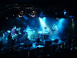 Guillemots live.JPG