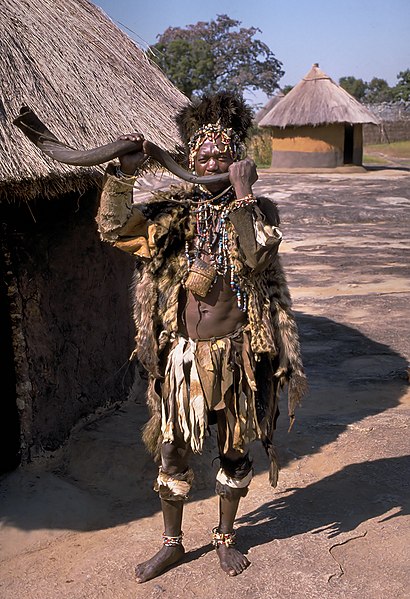 Fil:Shona witch doctor (Zimbabwe).jpg
