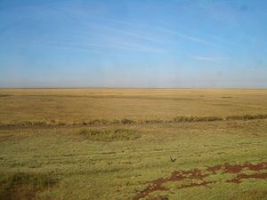 Astana-steppe-7748.jpg