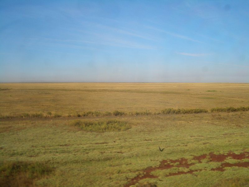 Fil:Astana-steppe-7748.jpg