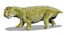 Lystrosaurus, en av få arter av dicynodonter som överlevde perm-trias-utdöendet.