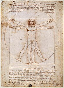 Modern människa (Homo sapiens), tecknad av Leonardo da Vinci