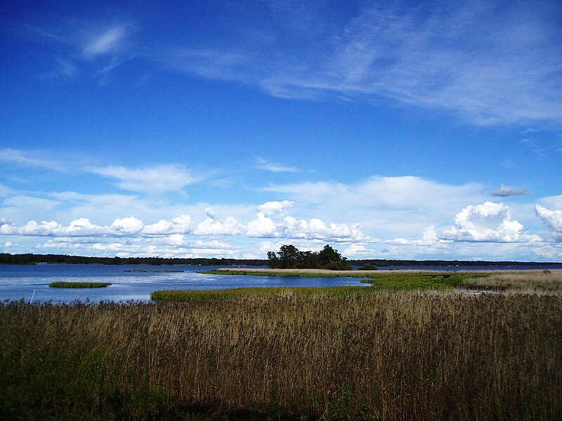 Fil:Örebro Hemfjärden.jpg