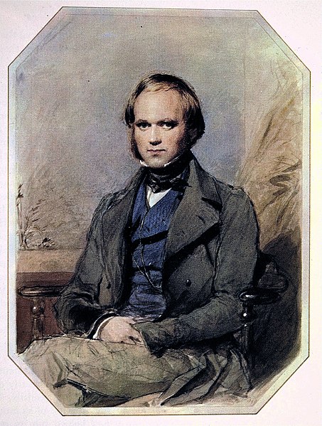 Fil:Charles Darwin by G. Richmond.jpg