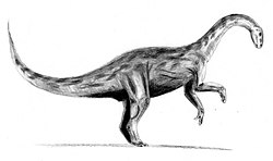 Illustration av Yunnanosaurus, en prosauropod.