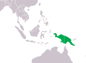 Nya Guinea-krokodilens utbredning