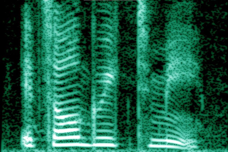 Fil:Human voice spectrogram.jpg