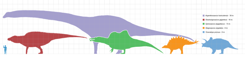 Fil:Largestdinosaursbysuborder scale.png