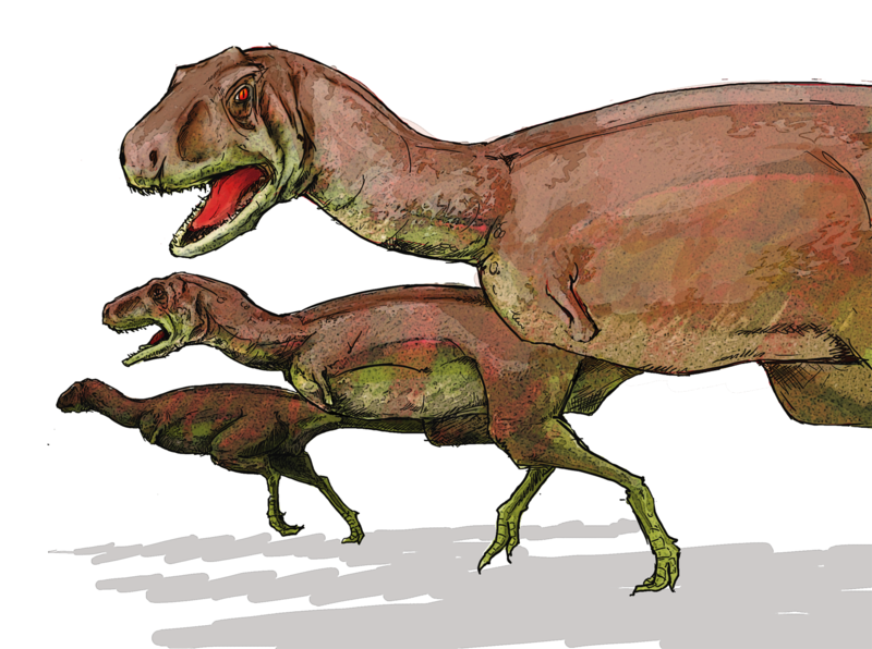 Fil:Aucasaurus dinosaur.png