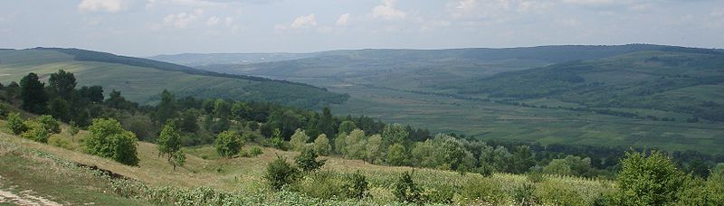 Fil:Landscape near Lozova 02.jpg