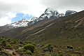 Kenyas nationaldag: Landets högsta topp Mount Kenya med suckulenter nedanför.