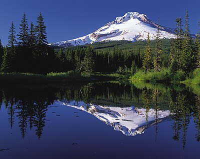 Mount Hood speglat i Trillium Lake i Oregon i USA.