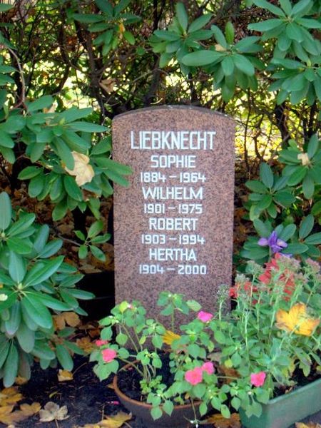 Fil:Grabstätte-Sophie Liebknecht.jpg