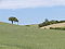 Landschaft Toscana.jpg