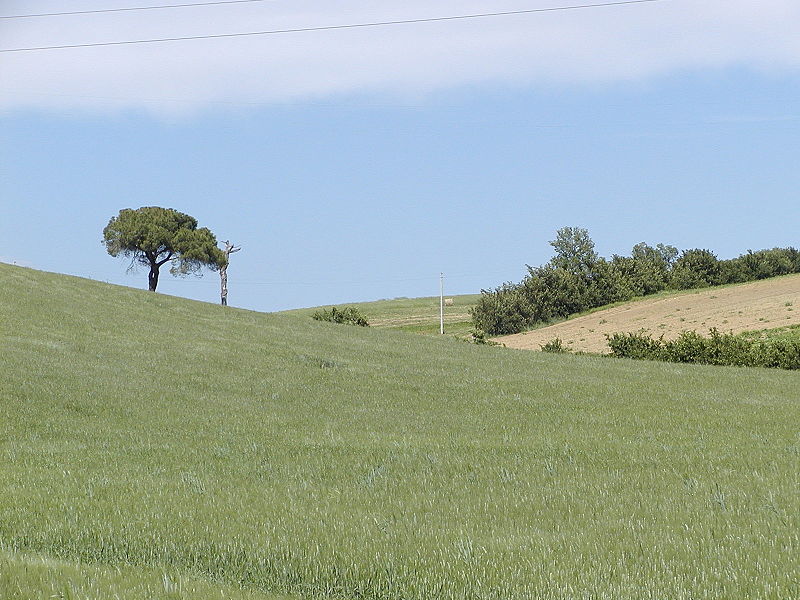 Fil:Landschaft Toscana.jpg