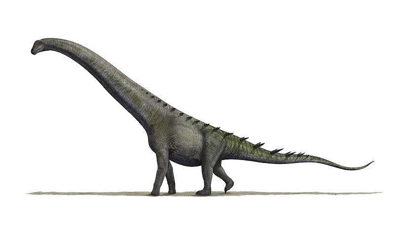 Fil:Futalognkosaurus BW.jpg