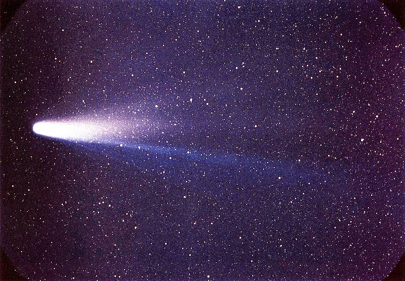 Fil:Lspn comet halley.jpg