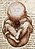 Views of a Foetus in the Womb detail.jpg
